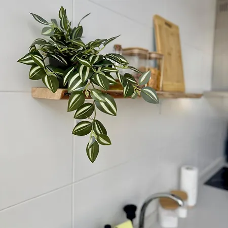 Apartmán Sonido Mediterraneo *